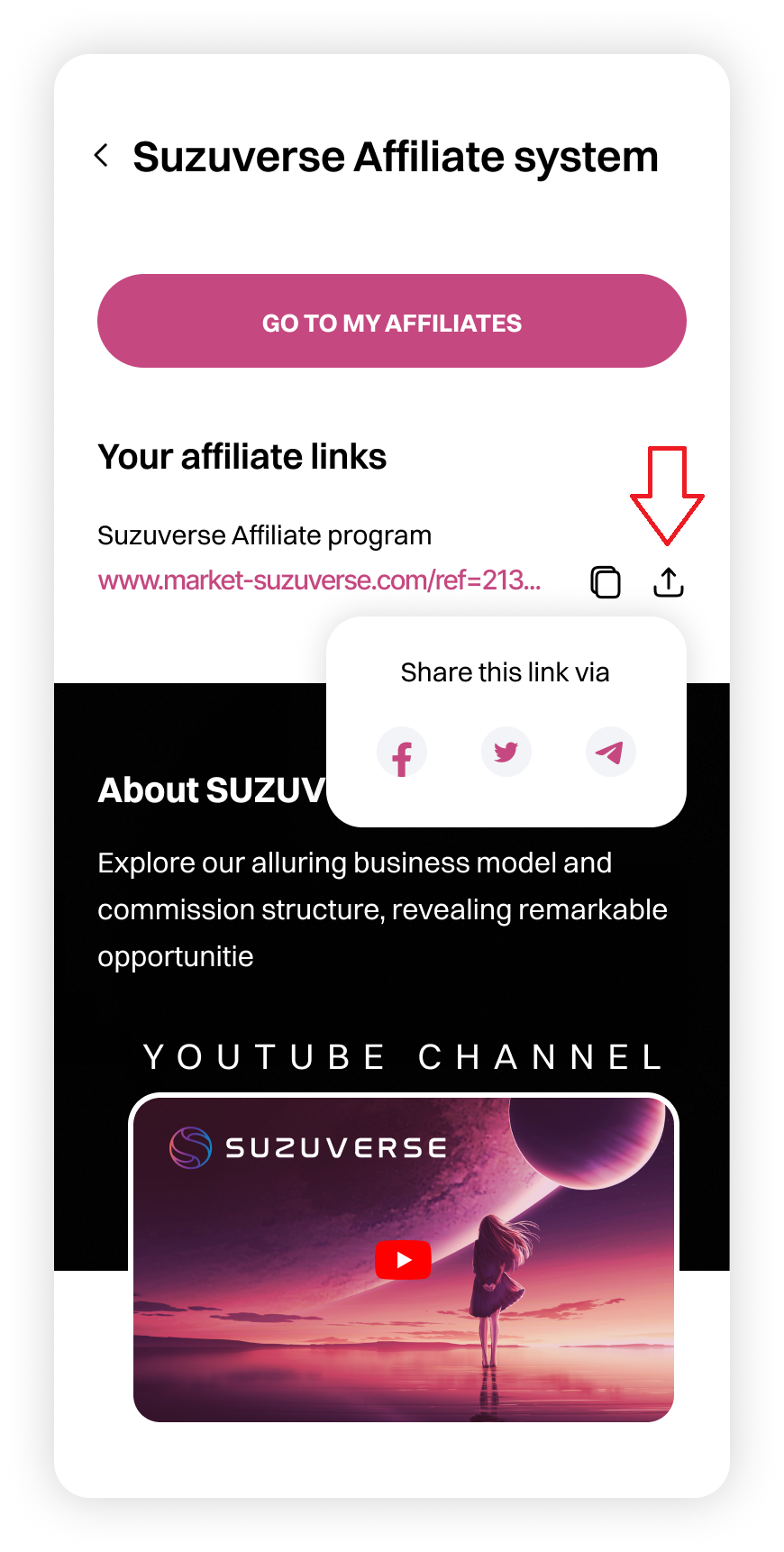 Affiliate page (after joining Affiliate) (4).png